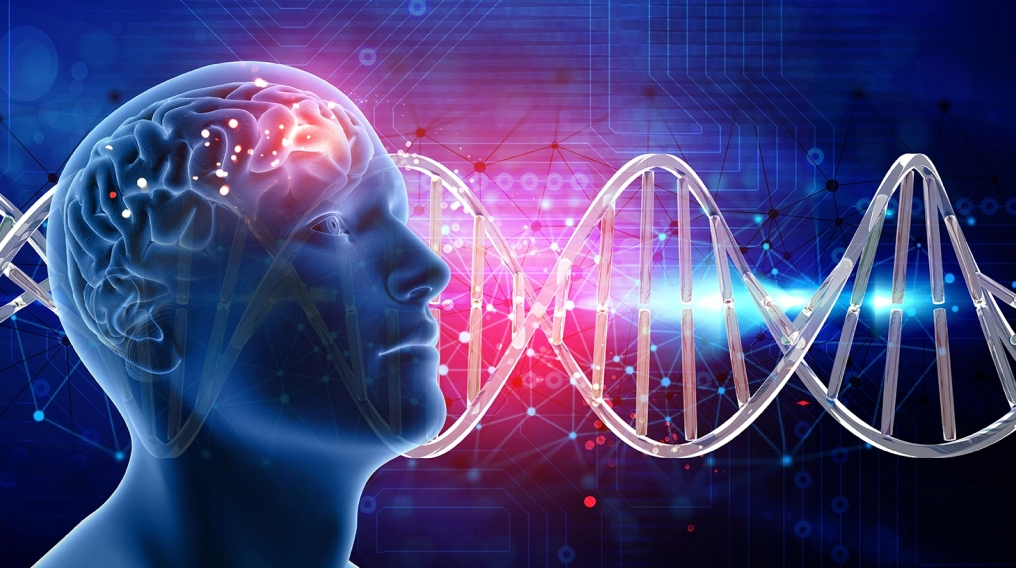 Harmful Brain Waves Prediction for early Neurological disorder diagnosis