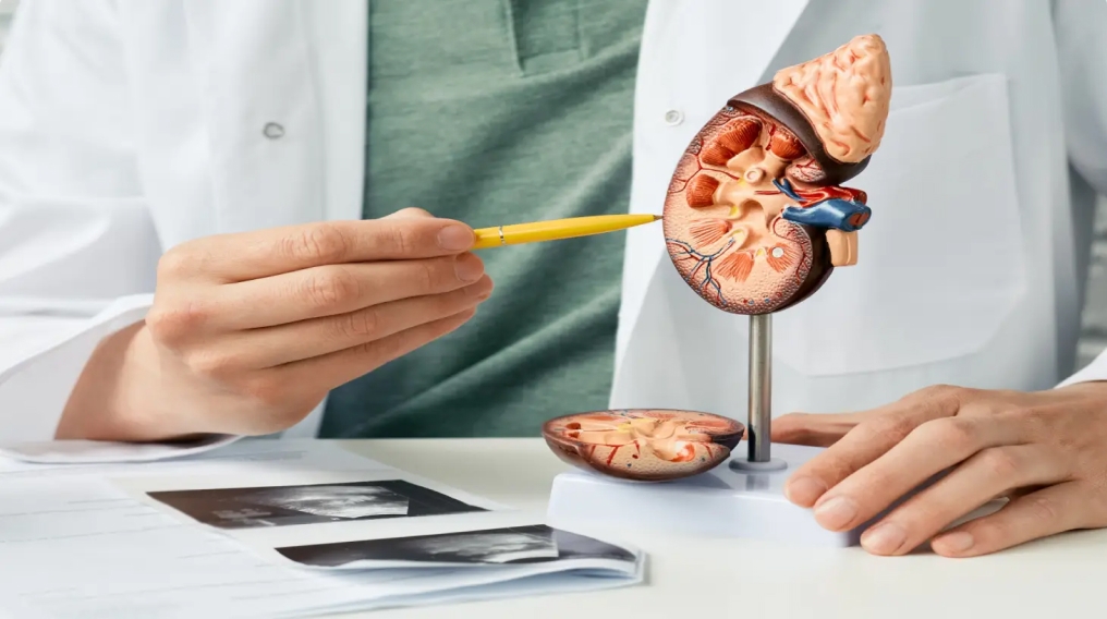 Chronic Kidney Disease Prediction